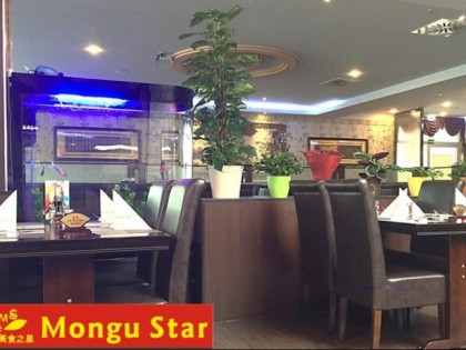 照片: MonguStar